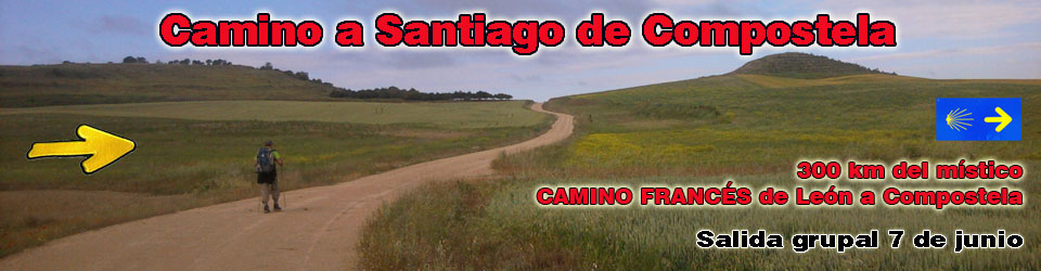 Camino de SANTIAGO